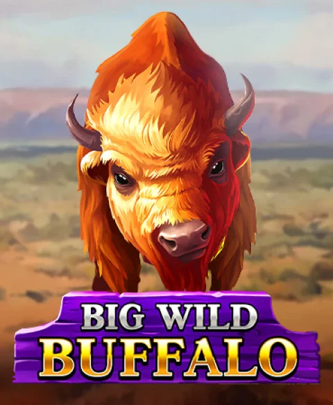 Žaisk Big Wild Buffalo Play Hub kazino